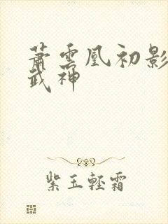 萧云凰初影荒古武神