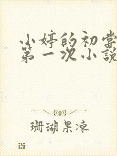 小婷的初尝黑人第一次小说