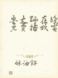 鲁大师在线观看免费播放电视剧安全吗封面