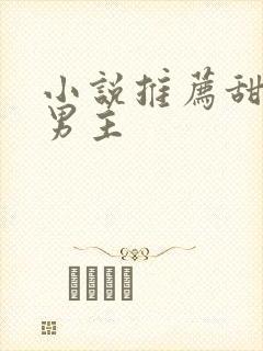 小说推荐甜宠双男主