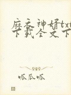 麻衣神婿txt下载全文下载