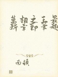 万相之王最新更新章节笔趣阁封面