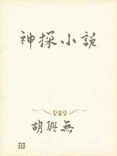 神探小说