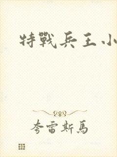 特战兵王小说版