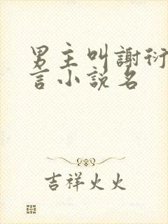 男主叫谢衍的古言小说名