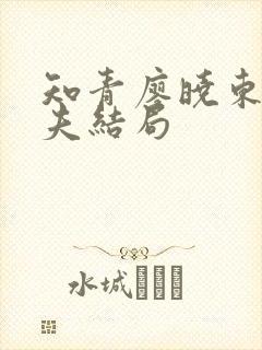 知青廖晓东的丈夫结局