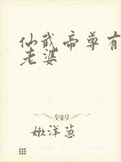 仙武帝尊有多少老婆