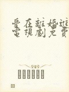爱在离婚进行时电视剧免费看