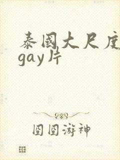 泰国大尺度真做gay片