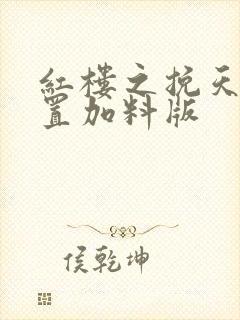 红楼之挽天倾重置加料版