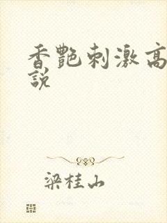香艳刺激高潮小说
