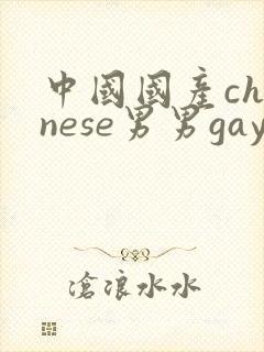 中国国产chinese男男gay