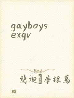 gayboysexgv封面