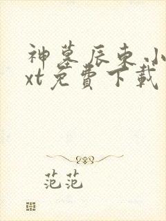神墓辰东小说txt免费下载