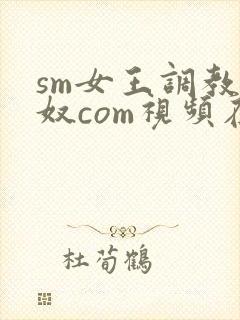 sm女王调教男奴com视频在线