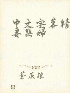 中文字幕精品人妻熟妇