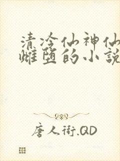 清冷仙神仙沦为雌堕的小说