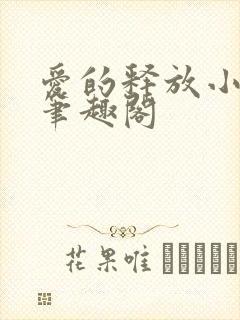 爱的释放小说 笔趣阁