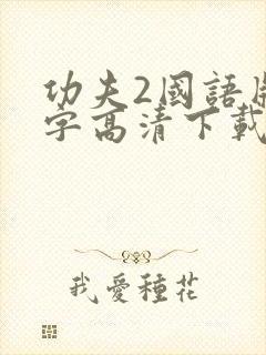 功夫2国语版中字高清下载