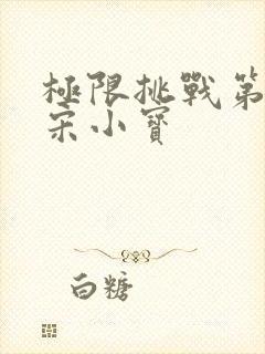 极限挑战第六季宋小宝封面