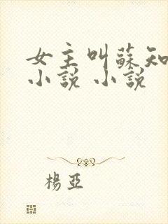 女主叫苏知意的小说 小说