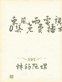 东风雨电视剧40集免费播放在线观看