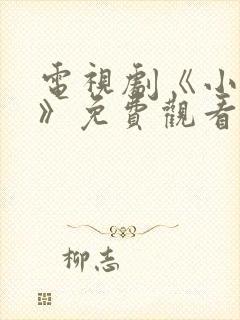 电视剧《小敏家》免费观看