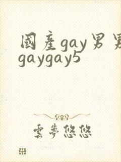 国产gay男男gaygay5