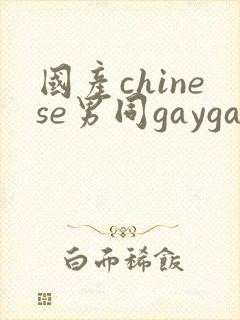 国产chinese男同gaygay