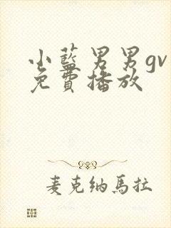 小蓝男男gv片免费播放
