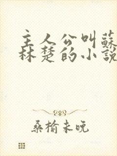 主人公叫苏彻,林楚的小说名字