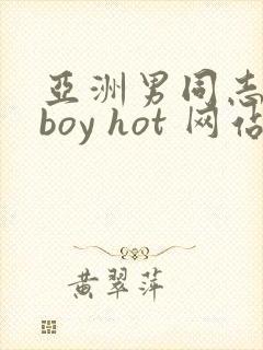 亚洲男同志18boy hot 网站