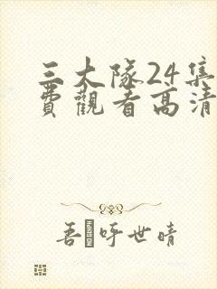 三大队24集免费观看高清完整版封面