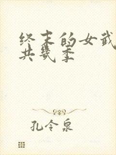 终末的女武神一共几季