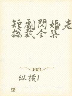 短剧闪婚老公是总裁全集封面