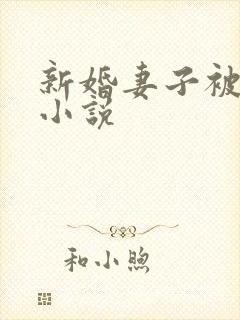 新婚妻子被调教小说