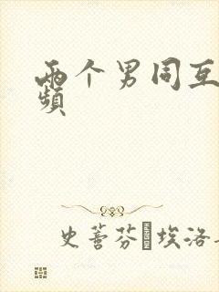 两个男同互操视频