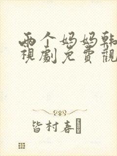 两个妈妈韩剧电视剧免费观看封面