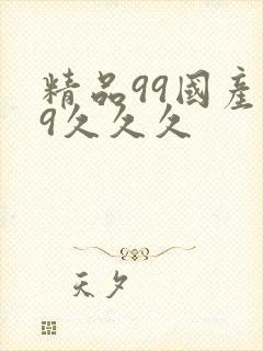 精品99国产99久久久封面