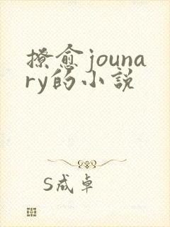 撩愈jounary的小说