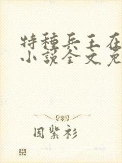 特种兵王在山村小说全文免费阅读
