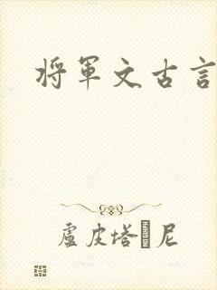 将军文古言封面