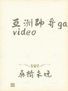 亚洲帅哥gay video