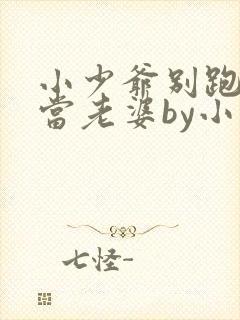 小少爷别跑乖乖当老婆by小说封面
