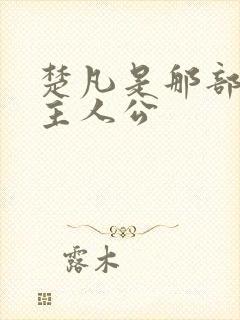 楚凡是那部小说主人公封面