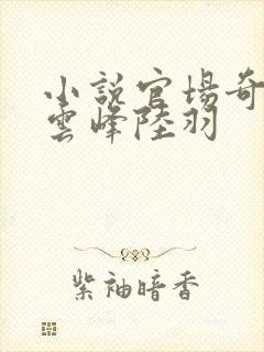 小说官场奇才刘云峰陆羽