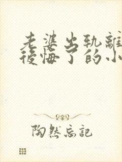 老婆出轨离婚后后悔了的小说