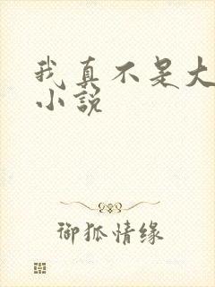 我真不是大佬 小说
