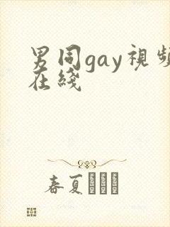 男同gay视频在线