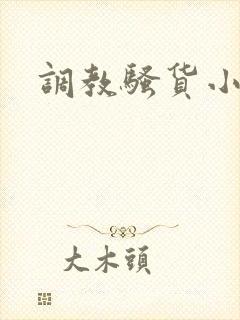 调教骚货小说封面